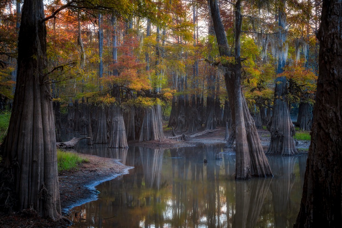 Fall on the Franklin Lake in the Big Thicket National Preserve in Silsbee, Texas. The lake sits in the bottomlands near the Neches River, offering a serene setting. A natural, unpaved boat launch allows easy access for kayaks, canoes, and small boats.

📸 by Michelle Esclovon