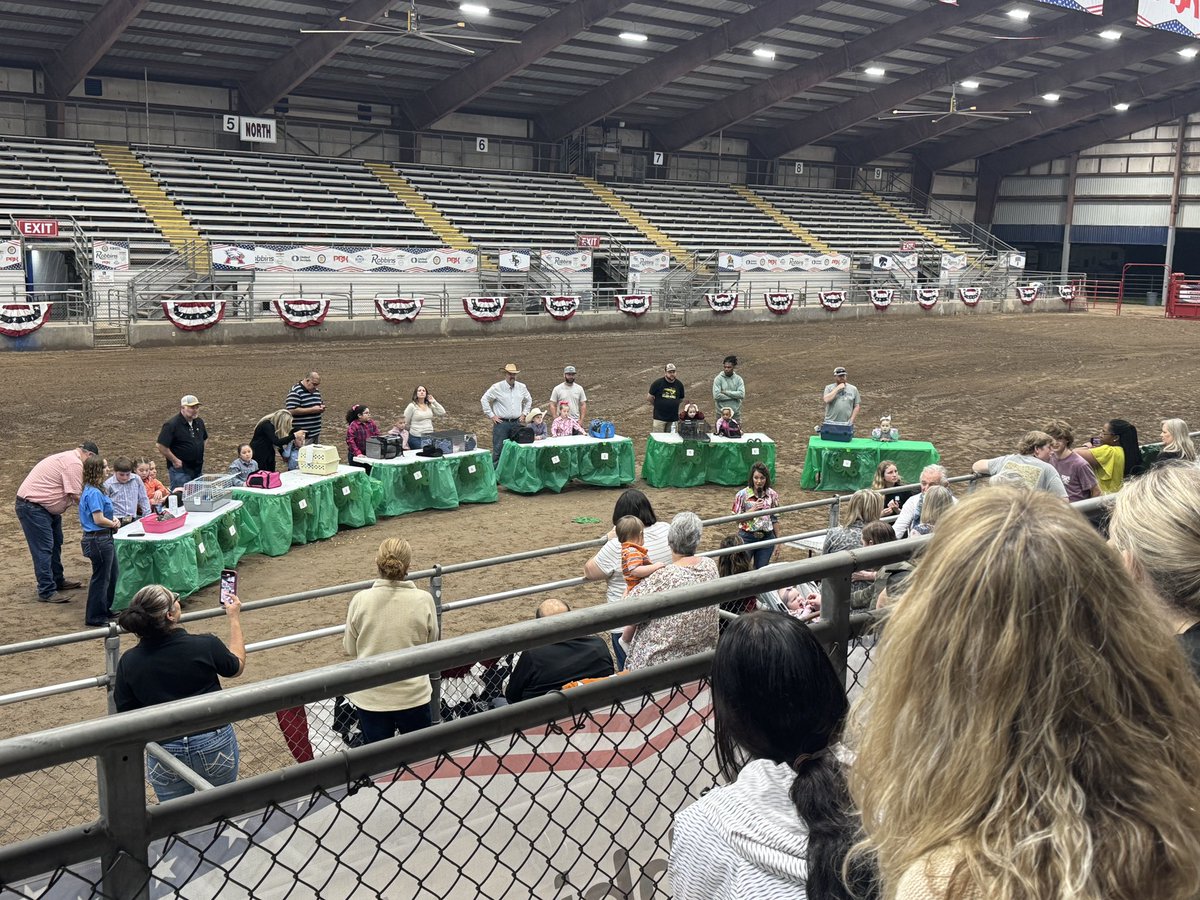 Busy week at the Humble Civic Center!  Our Foster kids were winners for their 4H rabbits!  <a href="/HumbleISD_FE/">Foster Elementary</a>
