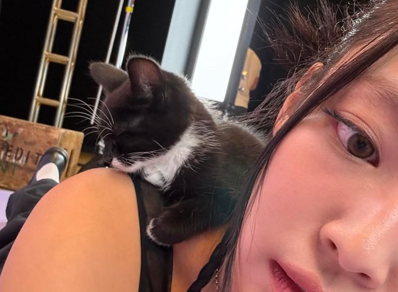 LUSTF0RHEAVEN's tweet image. ⠀

⠀⠀⠀⠀⠀⠀⠀⠀⠀⠀ Look at this kitty I found ⠀⠀⠀⠀⠀⠀⠀⠀⠀⠀⠀while working  . .  ★

⠀