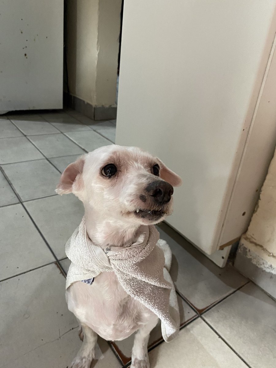 LVTPsccp tweet media