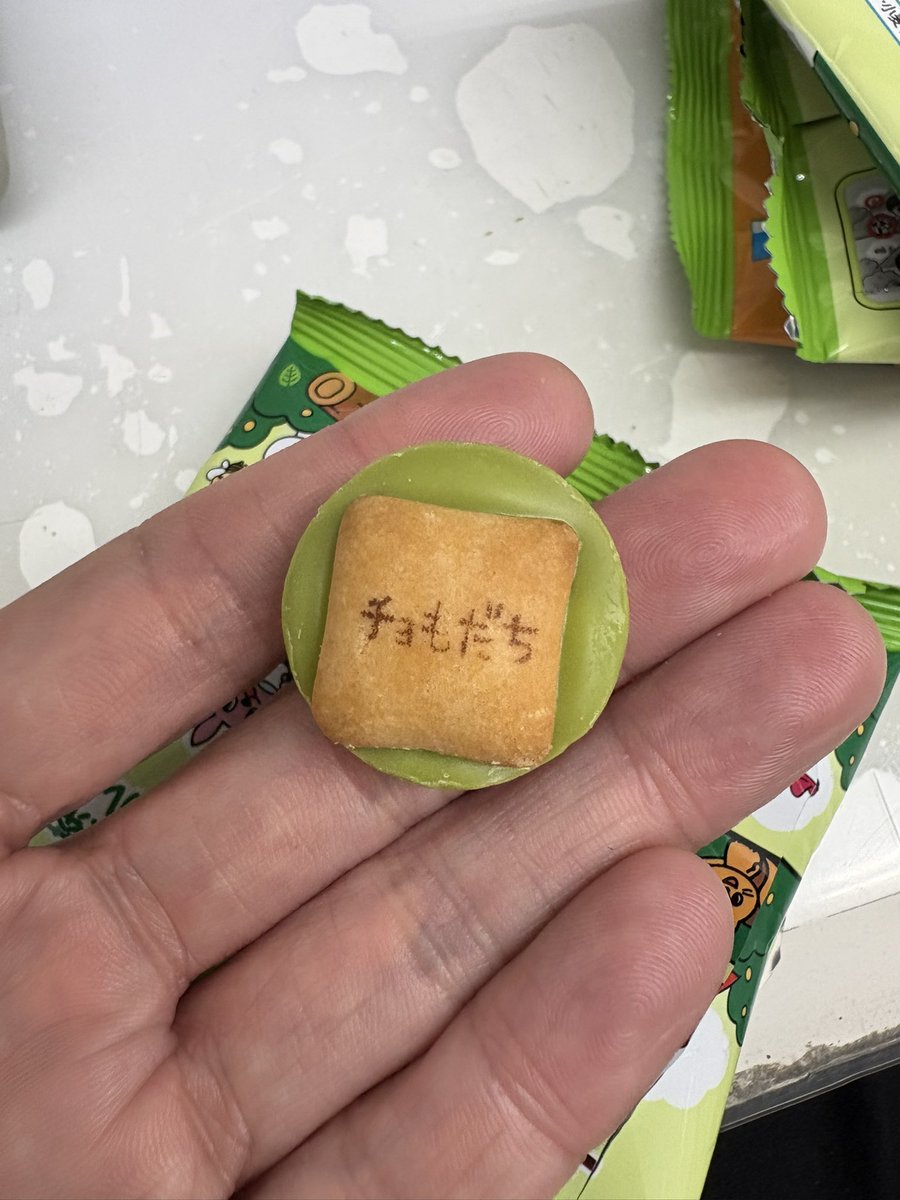 mosgraymetallic's tweet photo. サク山食べてます
チョもだち笑 https://t.co/tW3VhccDNv