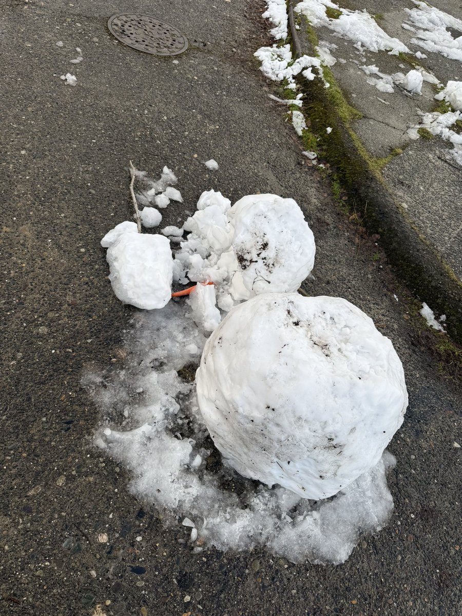 JoshuaTufts's tweet image. #seattlesnow