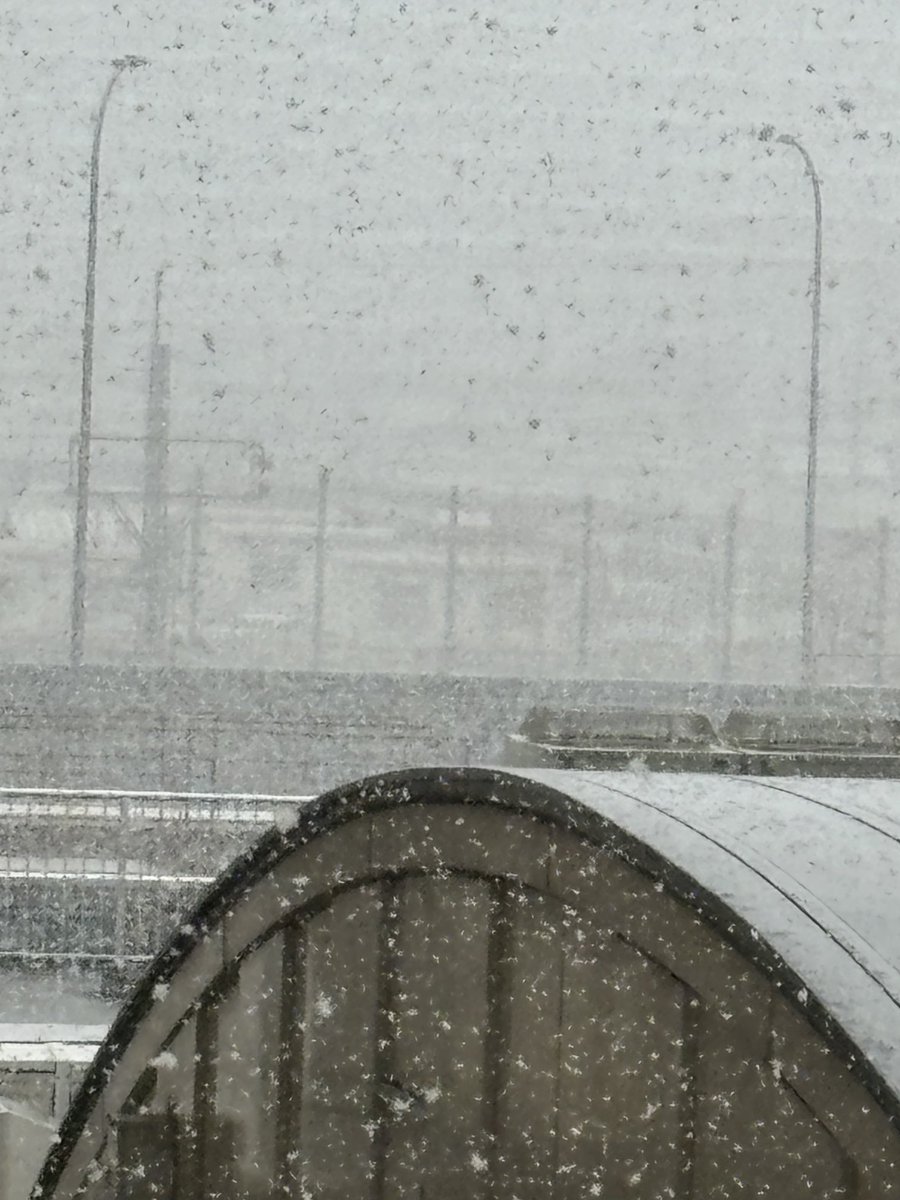 ELotOSuvwDa7mg4's tweet photo. おはようございます🌞
大雪の地域の皆さん大丈夫ですか⁉️
昨日珍しく奈良も朝���ら雪が舞いました❄️✨いつも応援してくださる方本当にありがとうございます🙏今日はどんより曇り空です。

病室の窓より
穏やかな1日でありますように✨ https://t.co/GESi51ZMgb