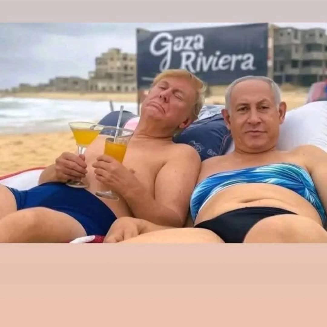 DeviantTrump's tweet image. 