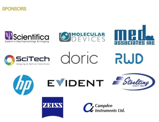 Australasian Neuroscience Society (ANS) tweet media