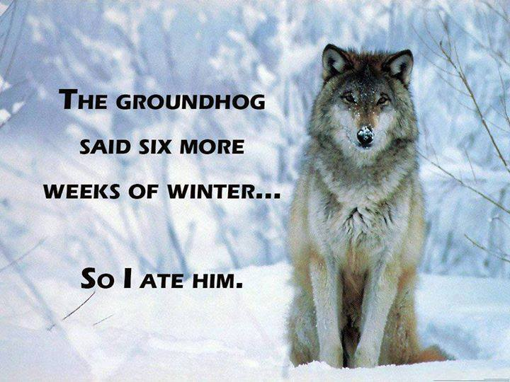 barriebriggs's tweet photo. https://t.co/bjDrFd2Qa6