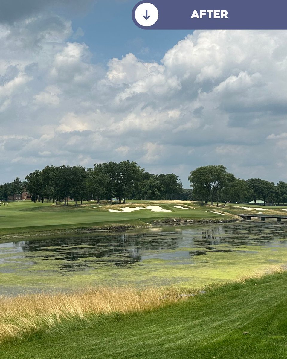 OCM Golf (@ocmgolf) on Twitter photo A few progress shots of our Cape hole <a href="/MedinahCC/">Medinah Country Club</a> taking shape through construction. A few progress shots of our Cape hole <a href="/MedinahCC/">Medinah Country Club</a> taking shape through construction.