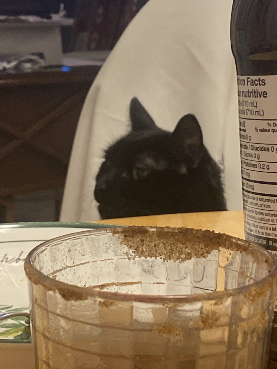 There is not a single thought behind those eyes.