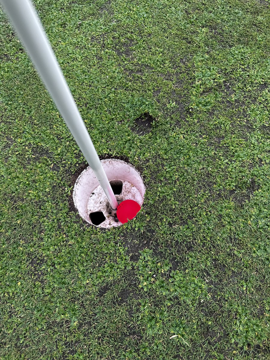 hit a hole in one today . if you need me I’ll be cooking a big ol steak with a blunt lol