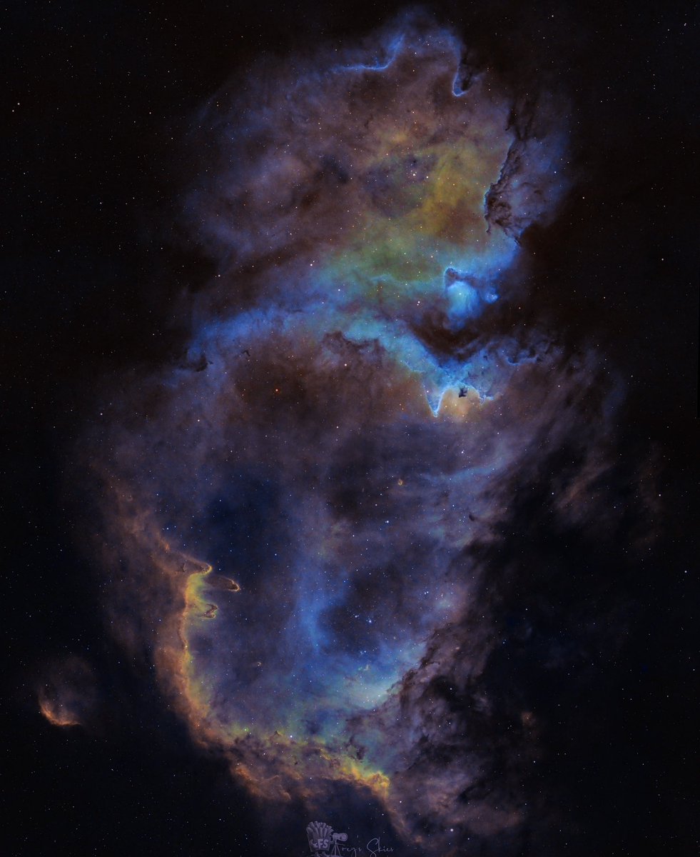 Soul Nebula 👻 
.
.
⚙️ Skywatcher EQ6-R Pro
📸 ZWO ASI2600MM Pro 
🔭 William Optics Fluorostar 120
📅 Captured 1/27 &amp; 1/28/25
.
.
#astronomy #telescope #planet #solar #planets #moon #astrophotography #nebula #space #astro #galaxy #photography #art #photo #stars #nasa #nightsky
