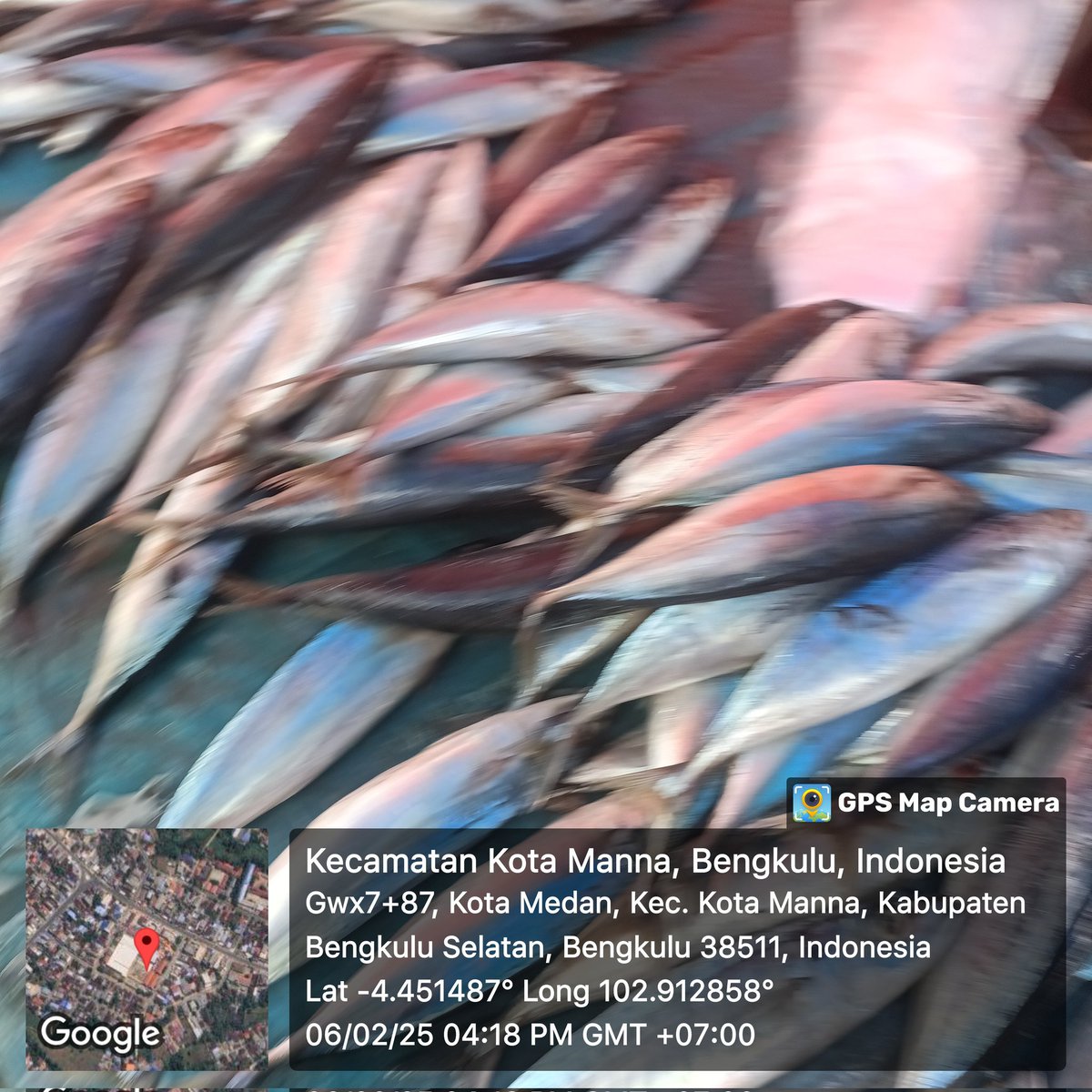 EmaSaleha's tweet photo. Kamis (06/02/2025) Giat Luhkan Bengkulu Selatan ,pencatatan hasil penjualan Poklahsar Usaha Jaya Kec. Pasar Manna, ikan sarden, ikan rucah  35 Kg jual Rp.35.000,-/Kg dipasar lokal  Pasar Kutau Manna
#luhlapor 
#giatluhkansatminkalBRPPUPP
#luhkanBengkuluSelatan https://t.co/xavpa32tB4