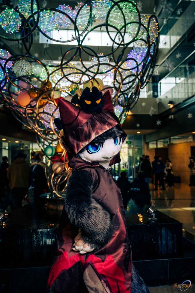 周末得闲见咯

📷：宿星stars