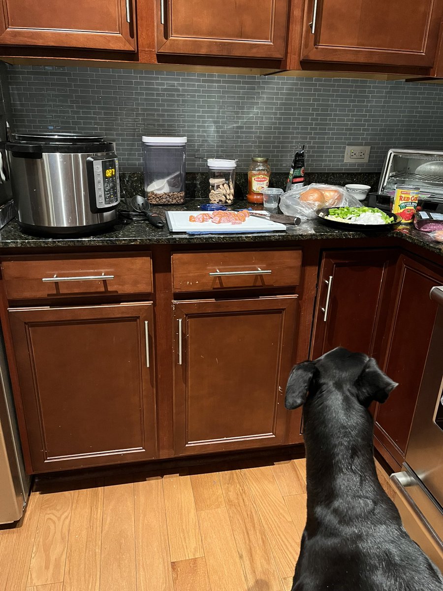 DaisyTheGrey's tweet photo. I’m supervising the making of a cold winters night chili. Ignore my storage units of kibble and treats in the background. My eye is on the prize. #humanfood https://t.co/vrsIofeL7N