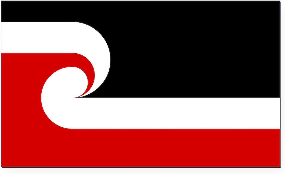 SukieConley's tweet photo. @sarahkendzior This red and black one reminds me of the Tino rangatiratanga flag here in Aotearoa. nice work! https://t.co/vCRyEjreTp
