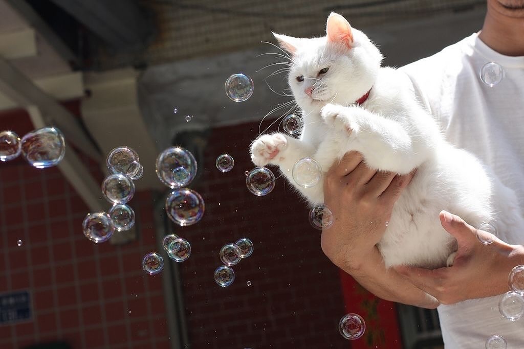 bubbles https://t.co/bKQlD6tYRt