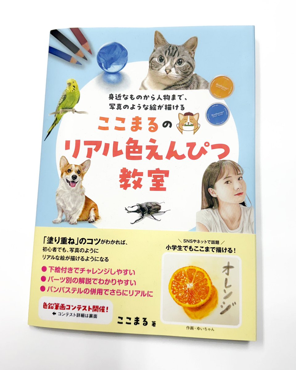 ちゃこ様 リクエスト 10点 まとめ商品 ちゃわわ丸様確認用 (通販レディース - ここまる様確認用)