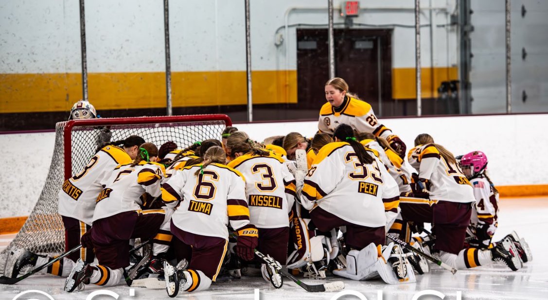 Rangers 3 - Duluth Stars 1 in Section 7AA Girls Hockey. Rangers advance to the Semis on Saturday at Noon at Andover.