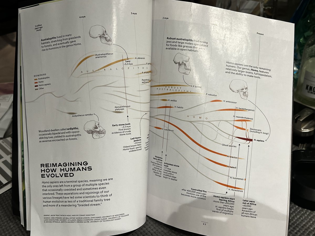 MDPetraglia's tweet photo. Very cool February issue of @NatGeo, "Finding the Other Humans". See if you can spot my name in very fine print - together with other colleagues - in the corner of a couple of these beautiful figures. https://t.co/avjCP21B7w https://t.co/H1zEhmsKNQ