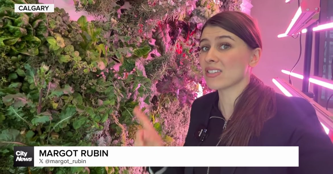 Margot Rubin (@margot_rubin) on Twitter photo Vertical farming community working to fill in gaps from potential tariffs <a href="/citynewscalgary/">CityNews Calgary</a>
youtu.be/NnfP5Ys8-a4?si⦠Vertical farming community working to fill in gaps from potential tariffs <a href="/citynewscalgary/">CityNews Calgary</a>
youtu.be/NnfP5Ys8-a4?siā¦