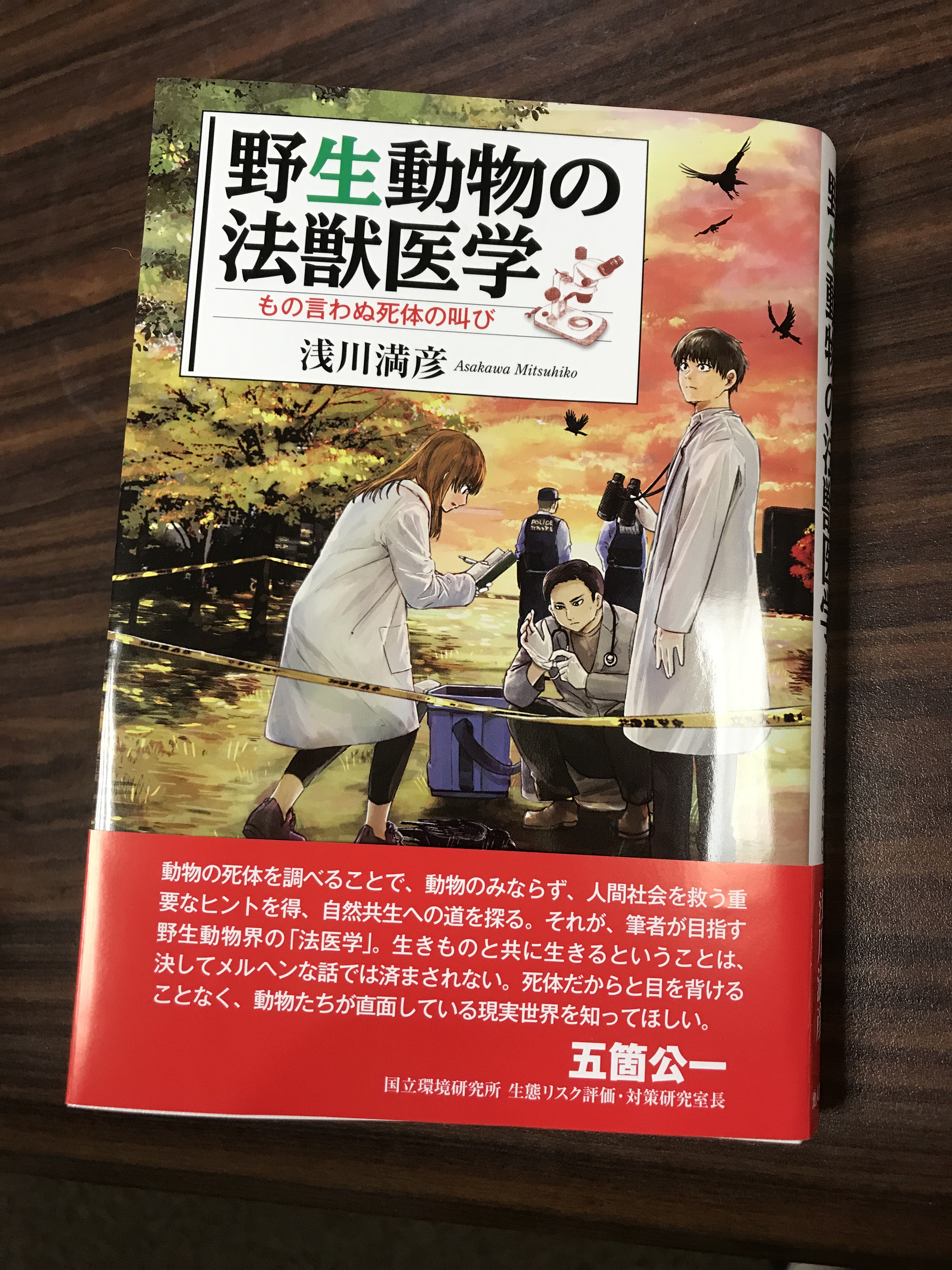 【福袋セール】の商品 地人書館/天文手帳 (@chijinshokan) / X その他