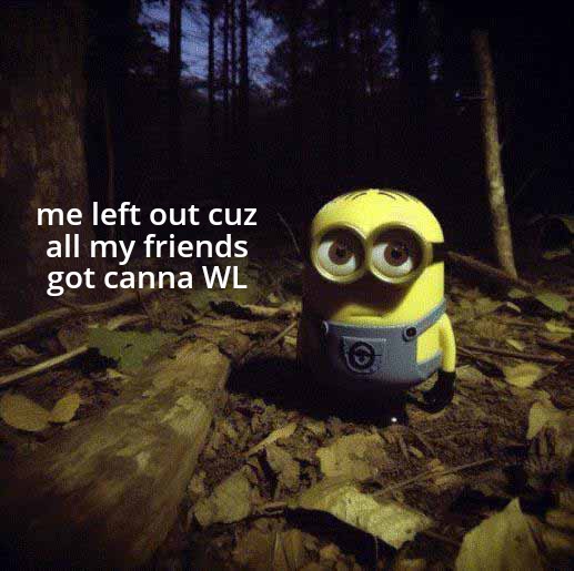 nftThug1's tweet photo. Day 6 of posting 4 memes daily on Twitter and discord for @CannaSapiensNFT community until I get whiteling.
@0xTama_ @NftRiles 
#CannabisCommunity #cannabisculture https://t.co/uQLuOKg1qg