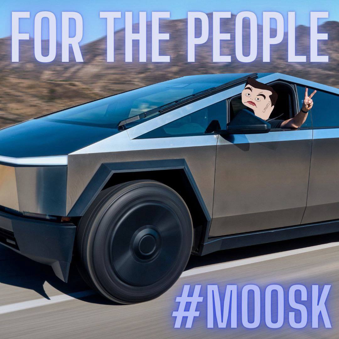 Elawn Moosk 🚀 tweet media