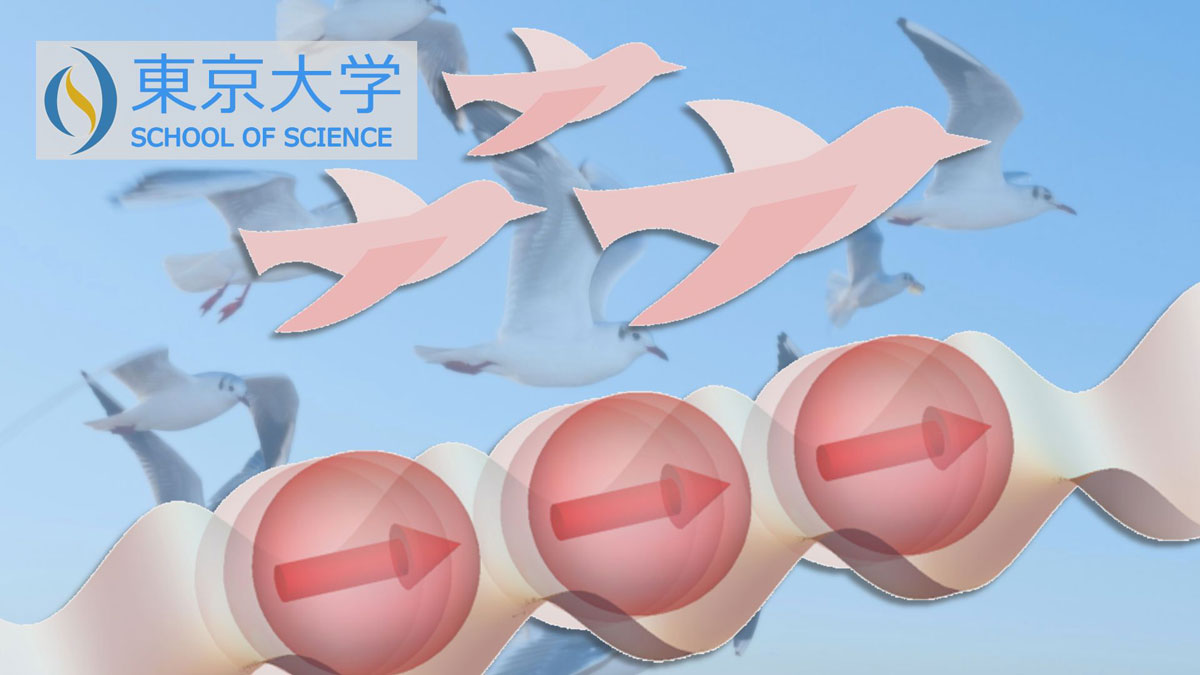 【YouTube】 #理学系研究科
高三和晃助教、足立景亮研究員らの研究グループは、原子スケールのミクロの世界に生じる群れの #物理 について新しいメカニズムを発見！ #量子 技術・デバイスへの応用も期待されます
「量子の群れが作る秩序を捉える」
youtu.be/bGMH82lqVPc
#東京大学 #UTokyo #東大理