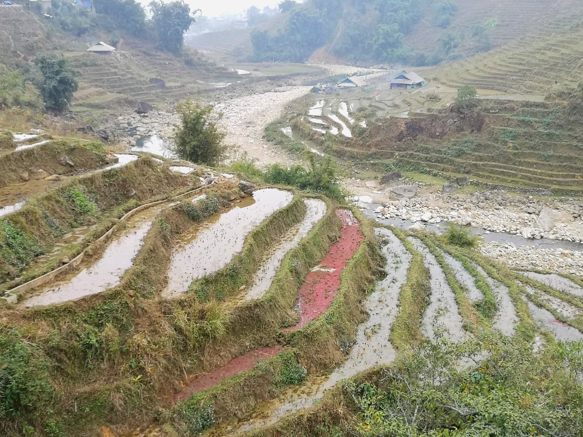 Dr Clive Kelly tweet media