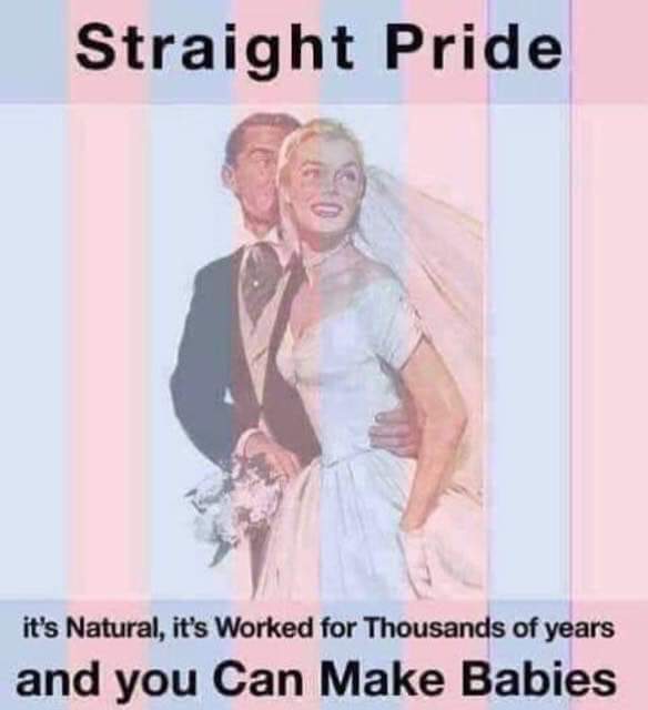 Back_in_BayArea's tweet photo. @elonmusk News Flash: Heterosexuality *is* the norm! https://t.co/g6pUjF3b4V
