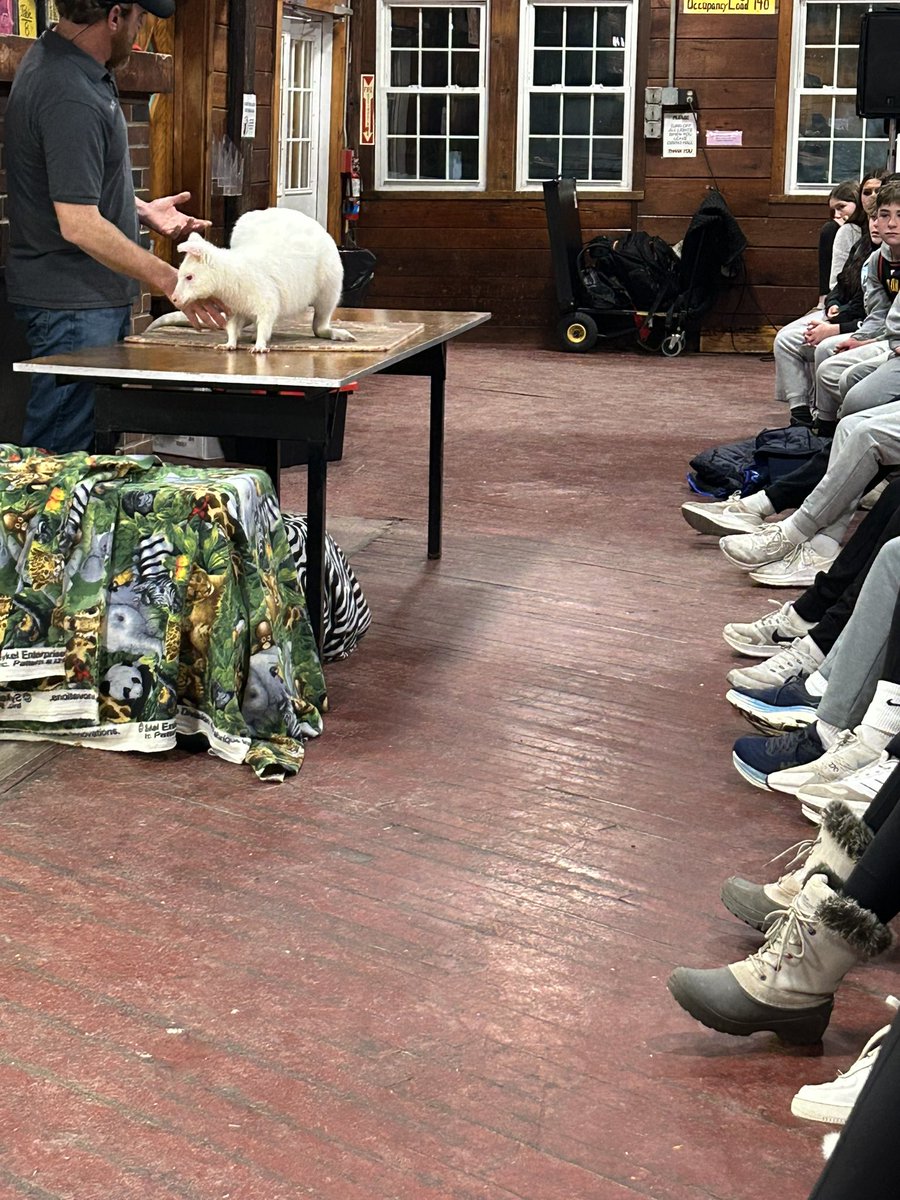 MsMullan_LS tweet media