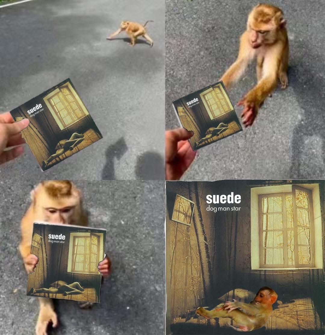 Populator905's tweet photo. Dog ·Monkey·Star

#suede #dogmanstar https://t.co/X8GGBETnRe