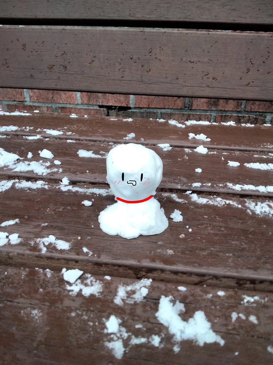 何年ぶりの雪で幸せ(  ´˘`  )