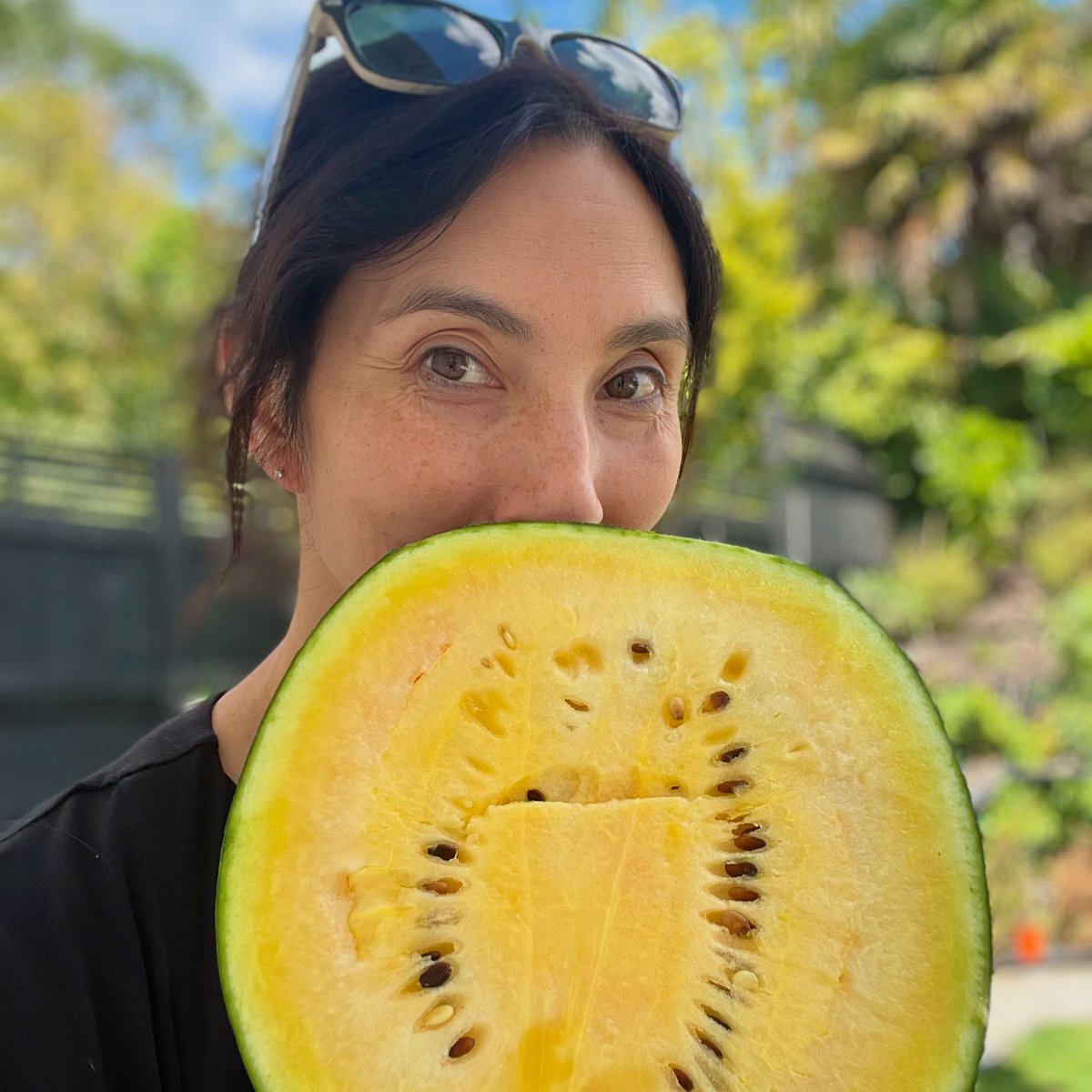 Who says watermelons have to be red? 🍉
Did you know that the yellow color in this watermelon comes more beta-carotene (orange carrot pigment) and a lack of lycopene (which also makes tomatoes red)? If you’ve not tried one they are super sweet and honey-like in taste 😋