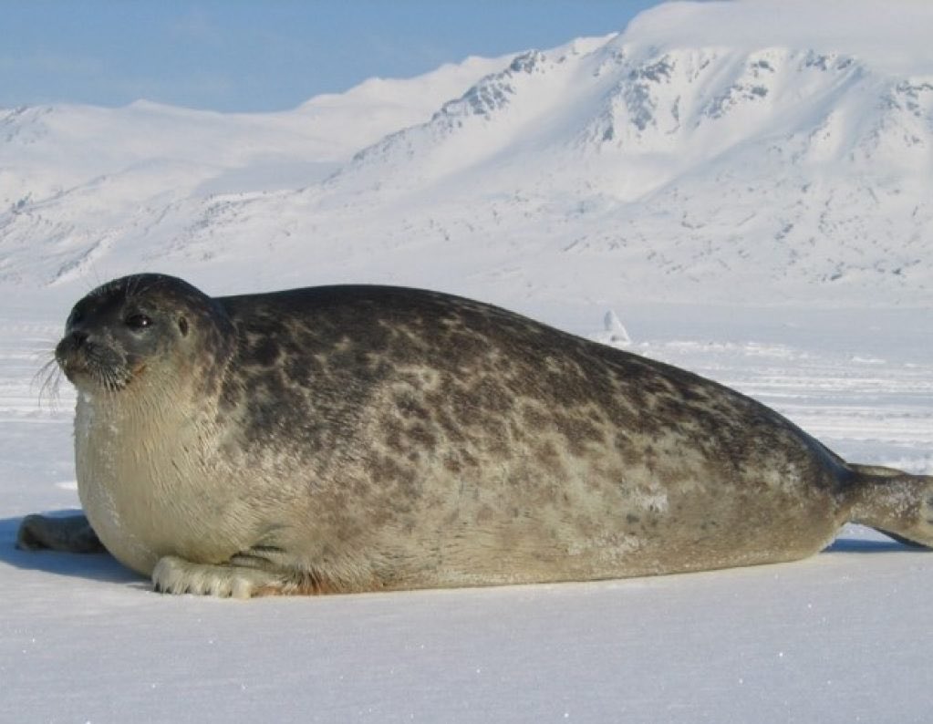 cosmicoraline's tweet image. season 2 episode 4 without context #severance