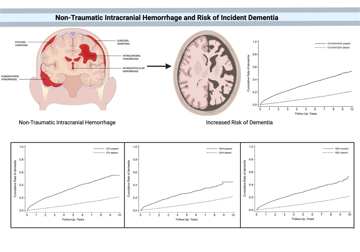 Stroke AHA/ASA (@strokeaha_asa) on Twitter photo #STROKE Simultaneous publication at #ISC25 🔴Intracranial hemorrhage was independently associated with a 2-fold increased risk of incident dementia — independent of the ICH subtype. #AHAJournals <a href="/AHAScience/">AHA Science</a> ahajournals.org/doi/10.1161/ST… #STROKE Simultaneous publication at #ISC25 🔴Intracranial hemorrhage was independently associated with a 2-fold increased risk of incident dementia — independent of the ICH subtype. #AHAJournals <a href="/AHAScience/">AHA Science</a> ahajournals.org/doi/10.1161/ST…