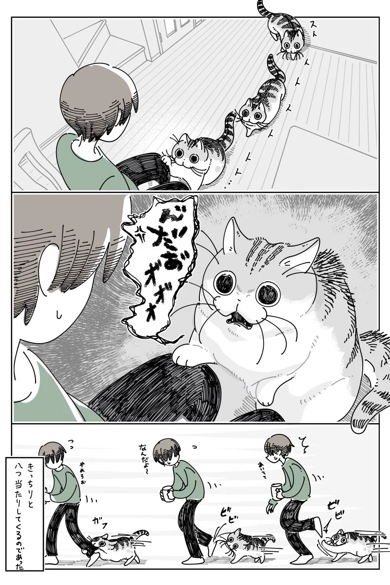 キュルZ on X: 