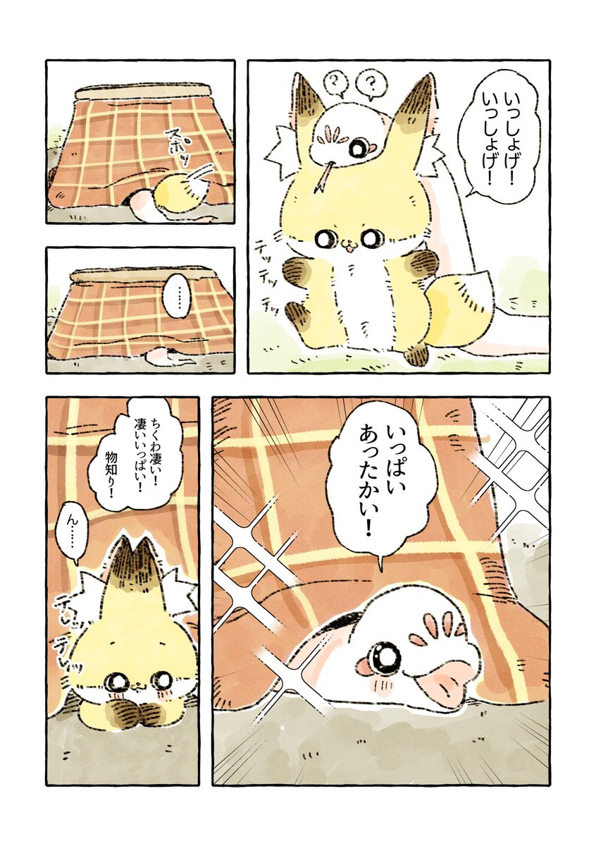 蛇 こたつを知る 