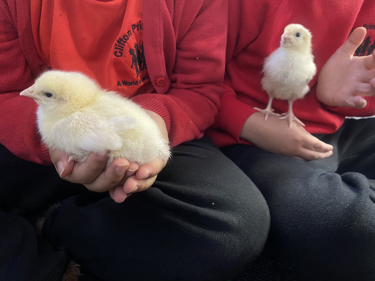 Mrs Osborne tweet media