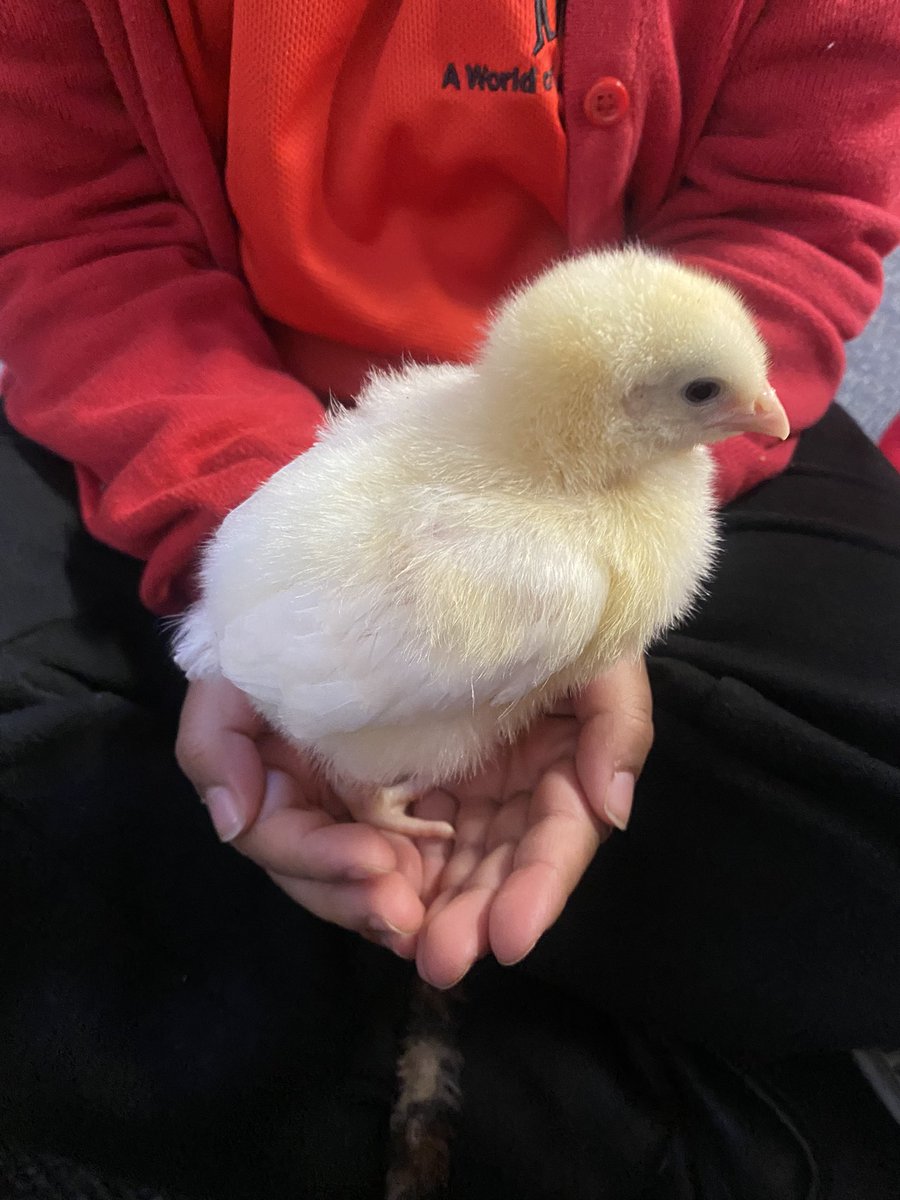 Mrs Osborne tweet media