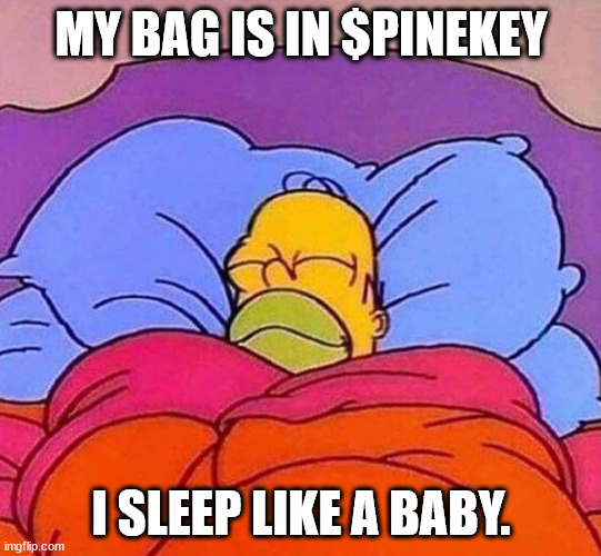 dogevolutionai's tweet image. Me: "I’m only making smart investments this time."

$PINEKEY: "Good, because I’m the smartest one you’ll make." 💸🚀🌲

#PINEKEY #NoBrainer #EasyMoney @PineKeyTampaBay