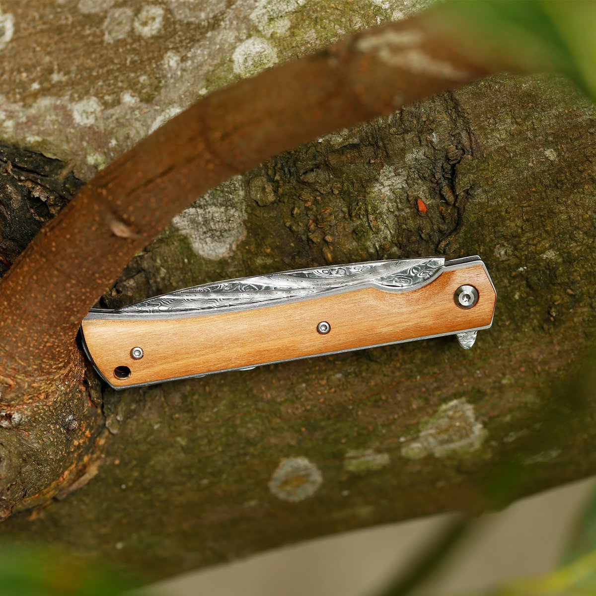 SunlongKnives's tweet image. Nature-inspired, adventure-ready 🌳🔪 Olive wood handle, Damascus steel blade, and liner lock convenience—carry it with pride.

#sunlongknives #PocketTools #ExplorerEssentials