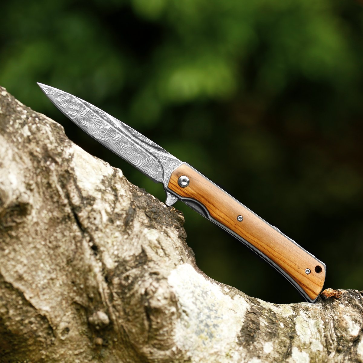 SunlongKnives's tweet image. Nature-inspired, adventure-ready 🌳🔪 Olive wood handle, Damascus steel blade, and liner lock convenience—carry it with pride.

#sunlongknives #PocketTools #ExplorerEssentials