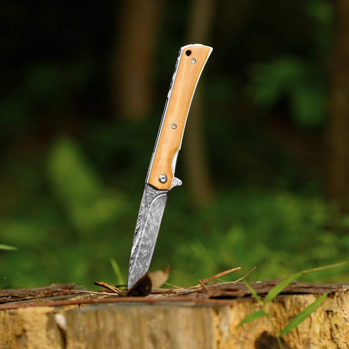 SunlongKnives's tweet image. Nature-inspired, adventure-ready 🌳🔪 Olive wood handle, Damascus steel blade, and liner lock convenience—carry it with pride.

#sunlongknives #PocketTools #ExplorerEssentials