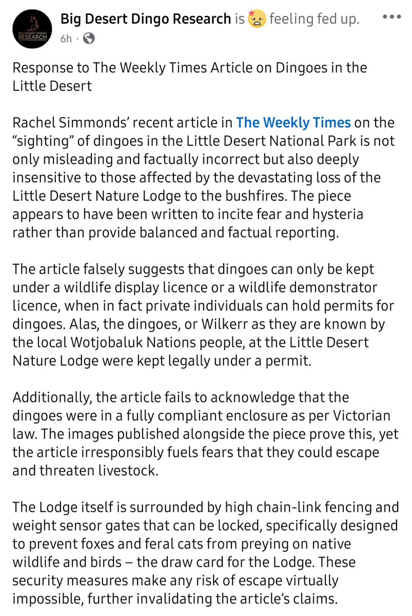 Big Desert Dingo Research tweet media