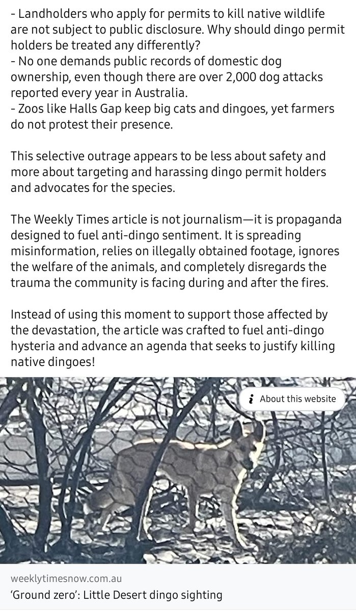 Big Desert Dingo Research tweet media