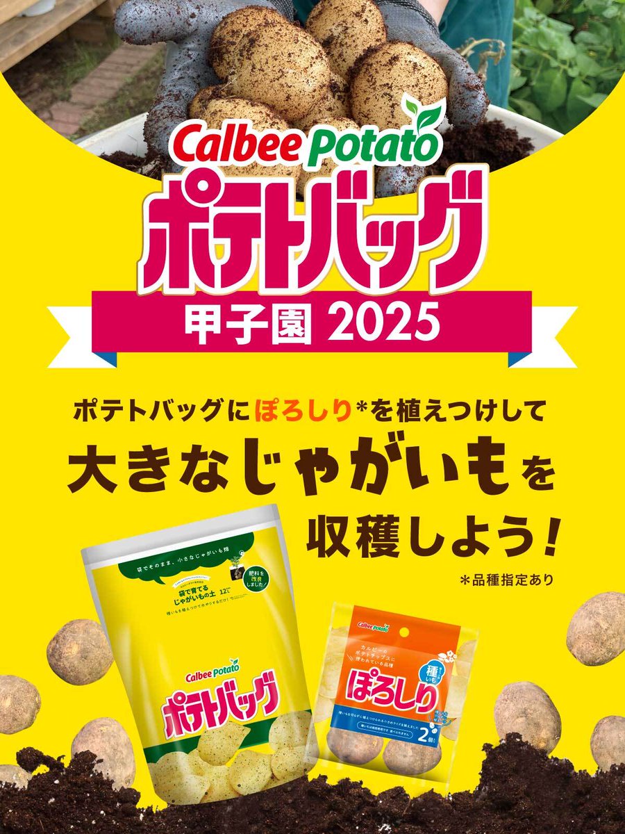 ポテトちゃん☆プロフ確認様 ボーちゃん⚠︎プロフ読んでから注文下さい の出品した商品