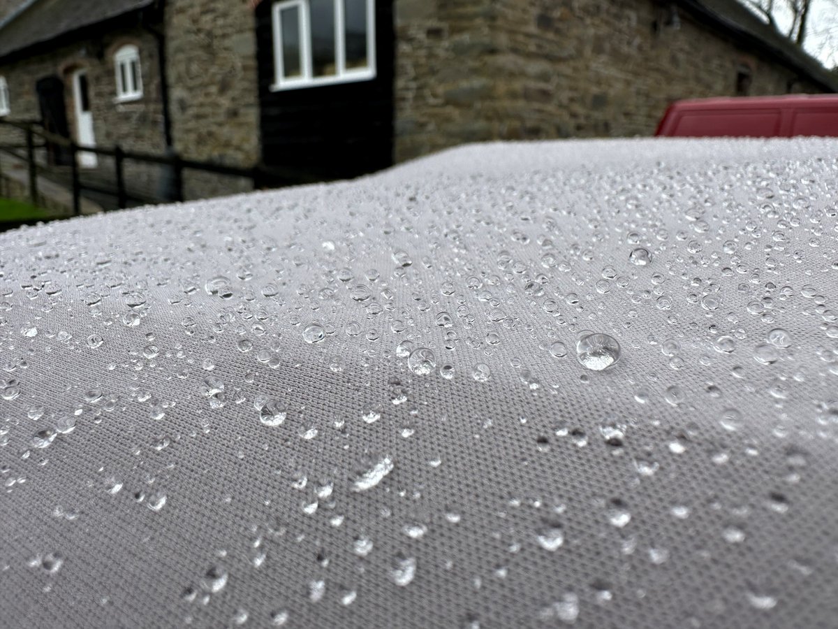 Classic Additions tweet media