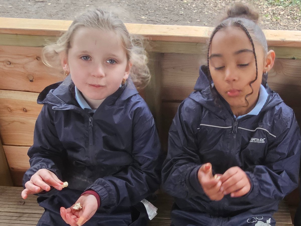 Stradbroke Forest School (@stradforest) on Twitter photo Nothing like the smell of freshly popped corn in the middle of the woods! πΏπ³π₯ Learning through experience at forest school <a href="/StradbrokePri/">@StradbrokePrimary</a> Nothing like the smell of freshly popped corn in the middle of the woods! πΏπ³π₯ Learning through experience at forest school <a href="/StradbrokePri/">@StradbrokePrimary</a>