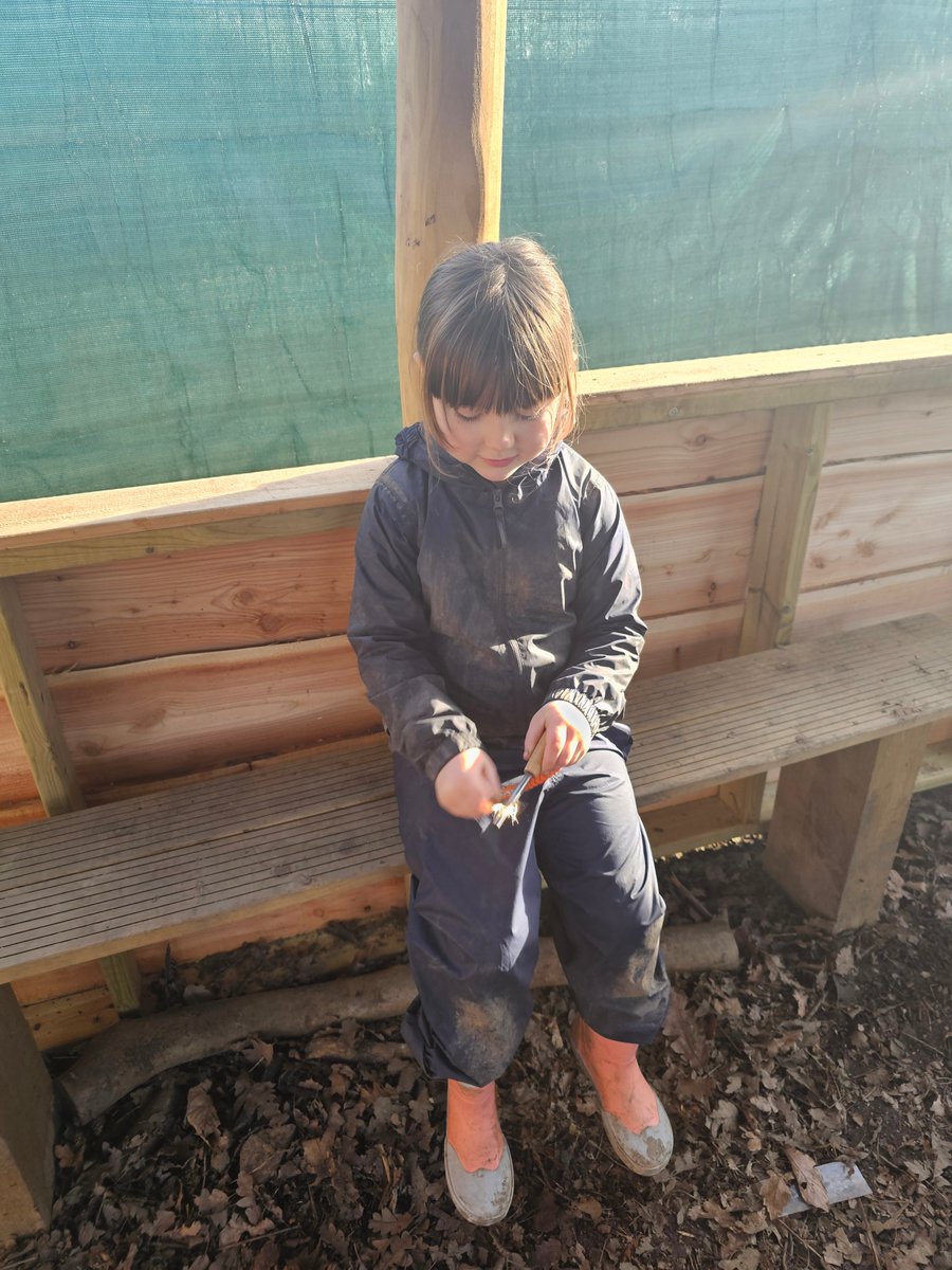 Stradbroke Forest School (@stradforest) on Twitter photo Practising our fire striking using steel and flint π₯π₯ Learning through experience at forest school <a href="/StradbrokePri/">@StradbrokePrimary</a> Practising our fire striking using steel and flint π₯π₯ Learning through experience at forest school <a href="/StradbrokePri/">@StradbrokePrimary</a>