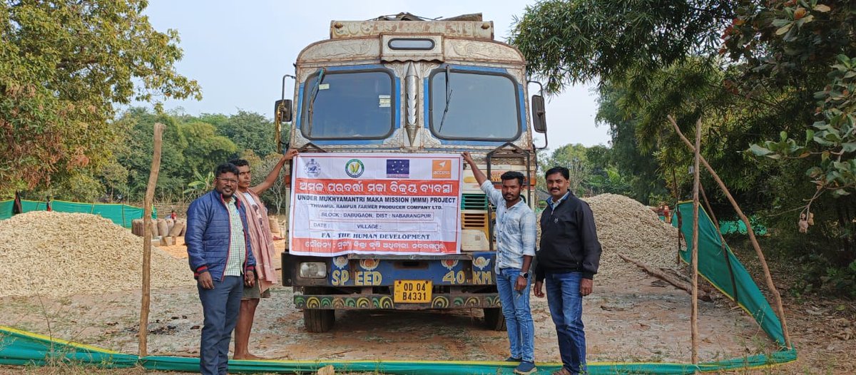 krushibibhag's tweet image. Under Mukhyamantri Maka Mission, maize procurement is ongoing across districts, ensuring fair returns to farmers. This initiative boosts cultivation, enhances productivity &amp;amp; strengthens the local economy. @KVSinghDeo1 @arvindpadhee